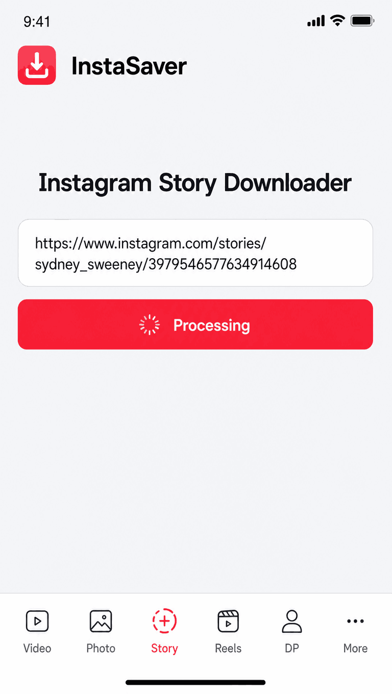 Paste the link into InstaSave